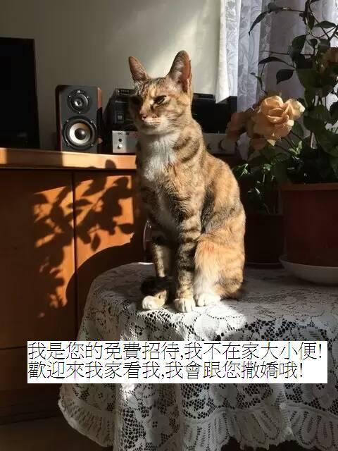 Star House Pansiyon Taipei Dış mekan fotoğraf